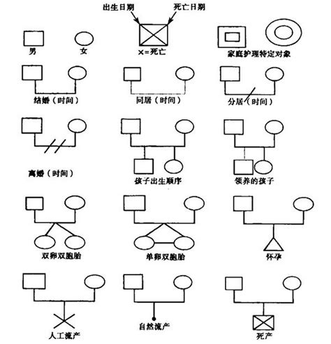 家庭關係圖畫法